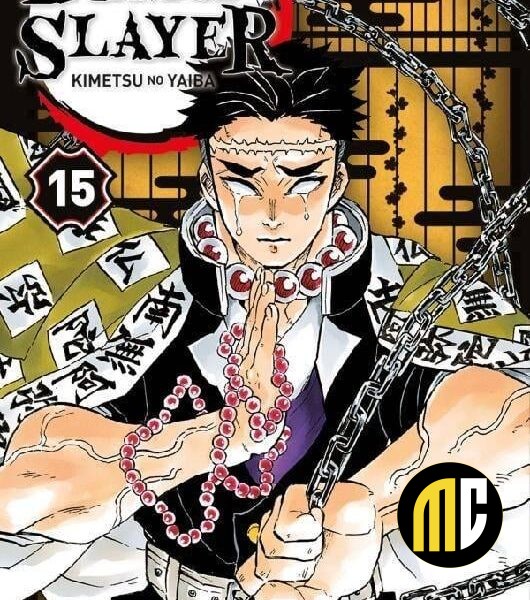 DEMON SLAYER - Tome 15