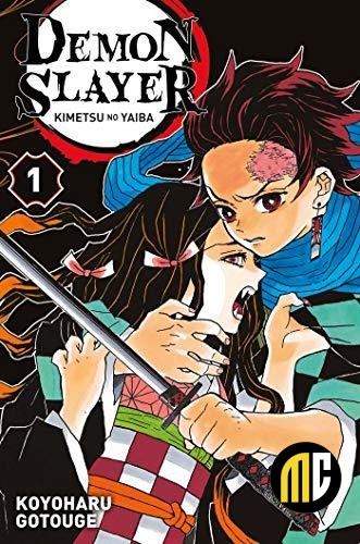 DEMON SLAYER - Tome 1