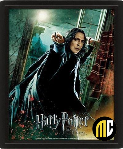 HARRY POTTER - Deathly Hallows - Poster lenticulaire 3D 26x20cm