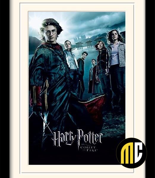 HARRY POTTER - Mounted & Framed 30X40 Print - Goblet of Fire