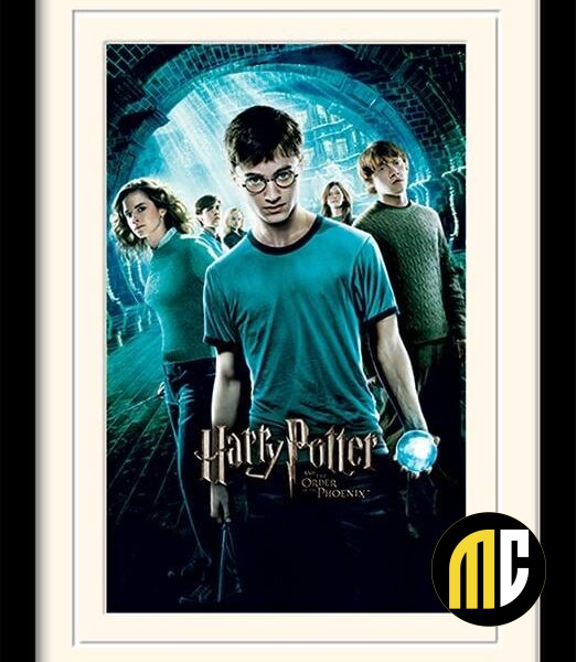 HARRY POTTER - Mounted & Framed 30X40 Print - Order of The Phoenix