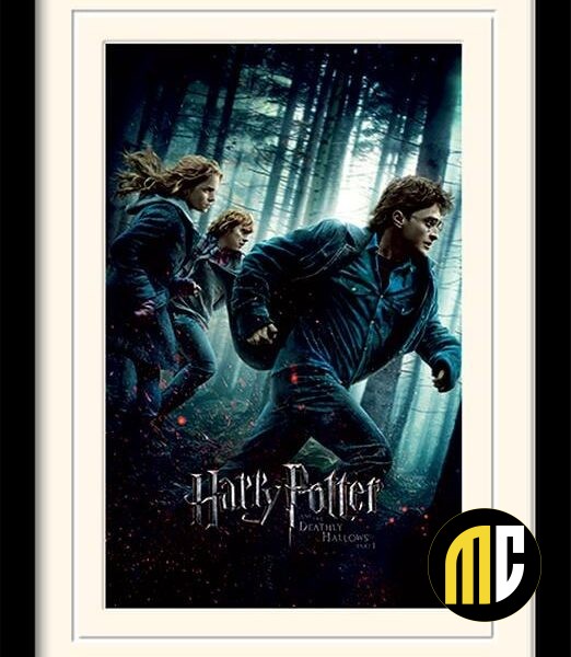 HARRY POTTER - Mounted & Framed 30X40 Print - Deathly Hallows Part 1