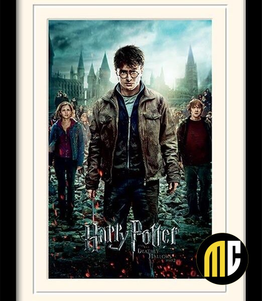 HARRY POTTER - Mounted & Framed 30X40 Print - Deathly Hallows Part 2