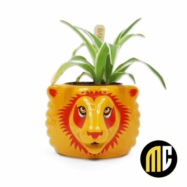 HARRY POTTER - Gryffondor - Pot Pour Plante