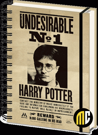 HARRY POTTER - Sirius & Harry - Notebook A5 3D