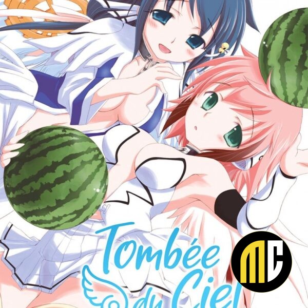 TOMBEE DU CIEL - Tome 12
