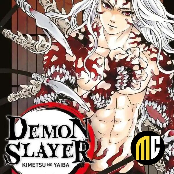 DEMON SLAYER - Tome 22